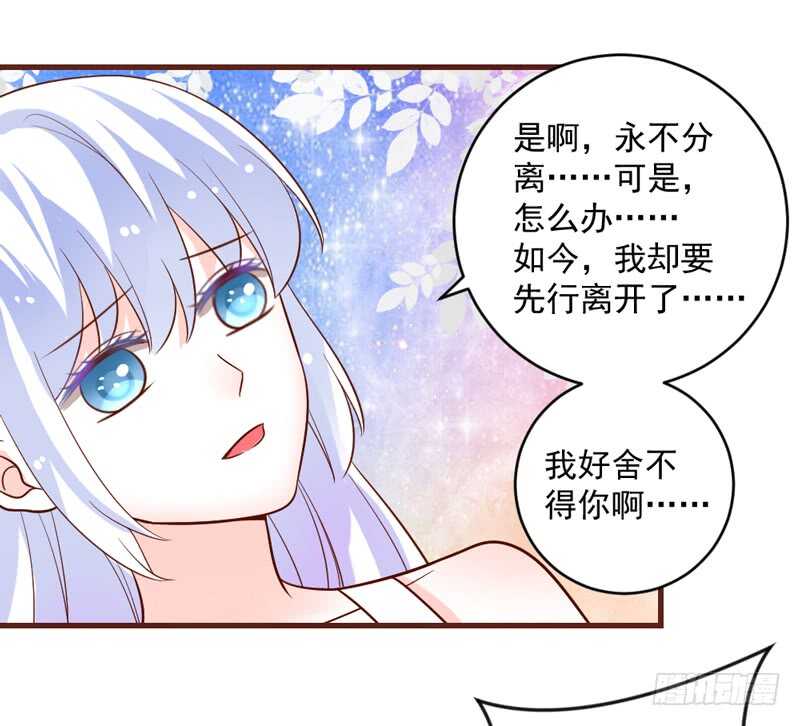 完结后篇：我和你永远的童话传说-第214话