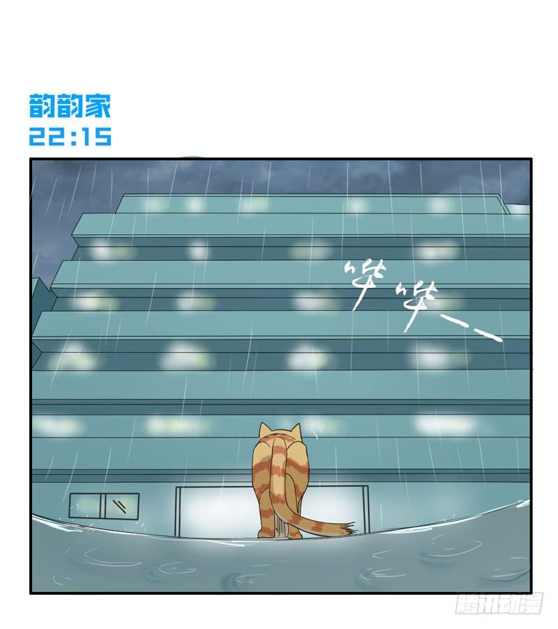 浪漫雨夜温柔的你-第40话