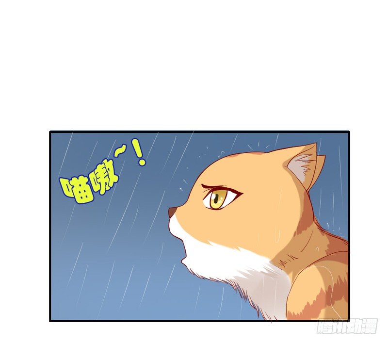 浪漫雨夜温柔的你-第40话