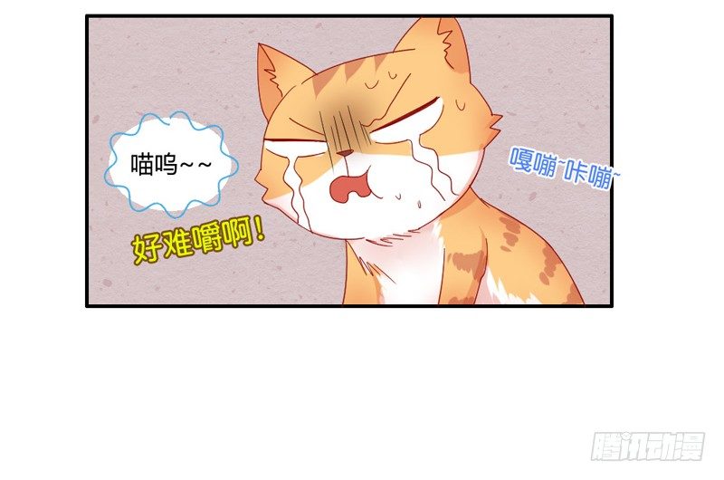 默默守护你-第52话
