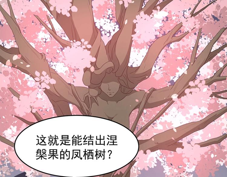 第34话 涅槃果(1/2)-第34话
