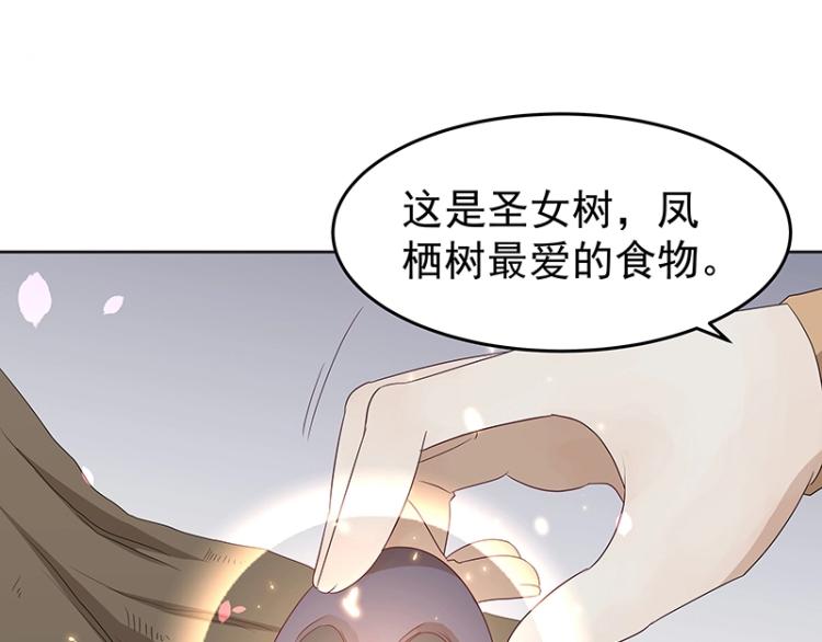 第34话 涅槃果(1/2)-第34话