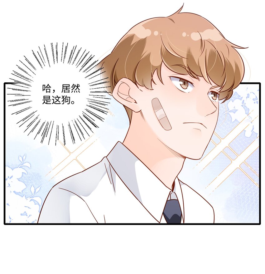 第15话 校草与野狗-第16话