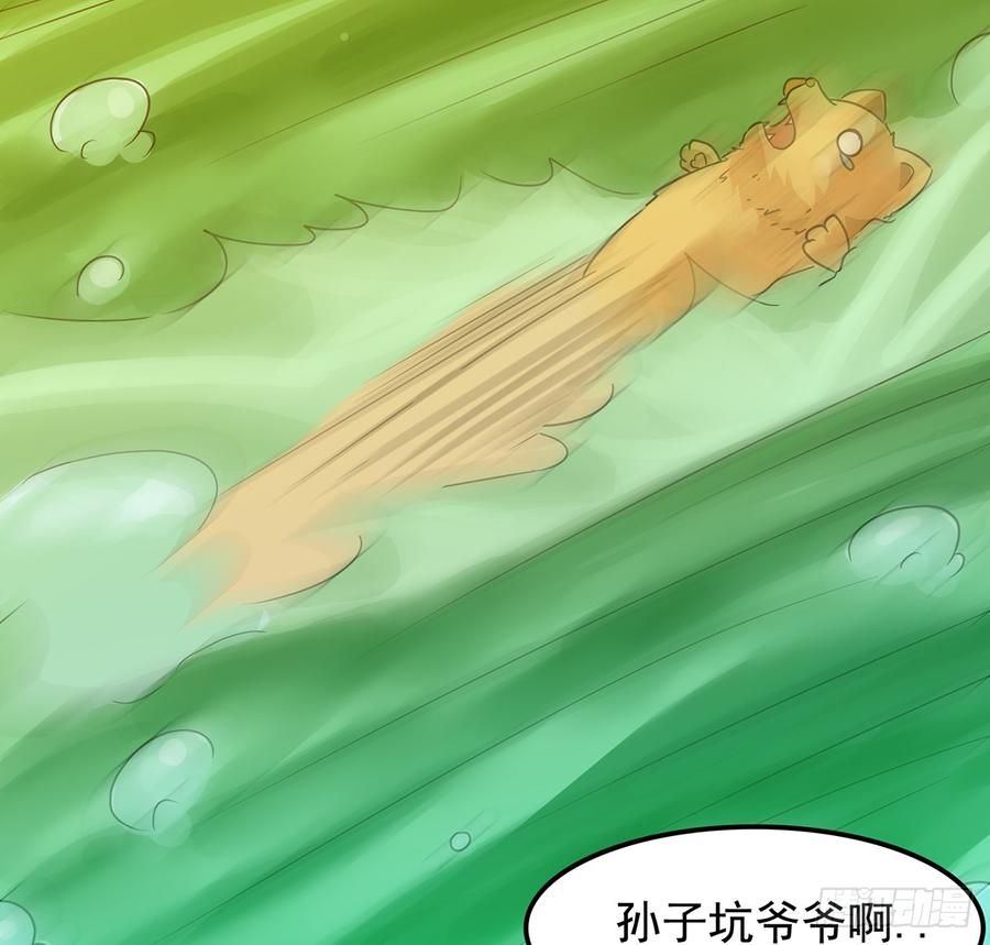 🍟殁仙 言灵咒令，天地五行 第46页