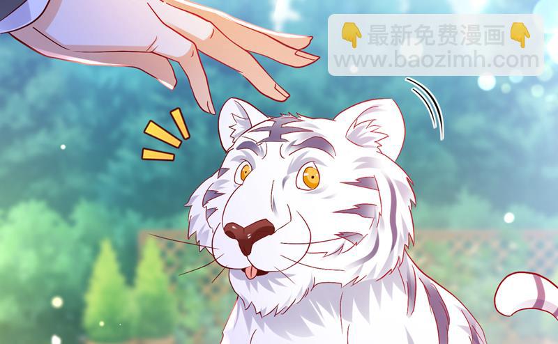 🍟沫许辰光 和我一起养大猫吧？ 第26页