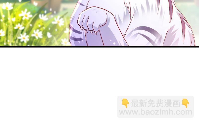 🍟沫许辰光 和我一起养大猫吧？ 第27页