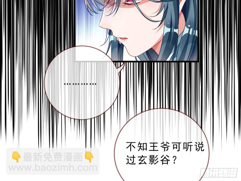 🍟万渣朝凰 玄影谷传人 第20页