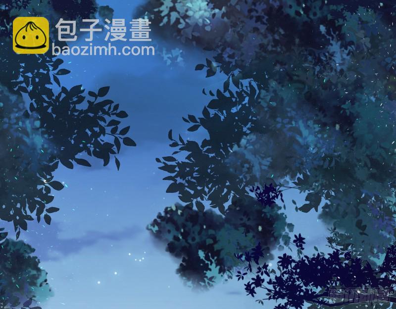 🍟万渣朝凰 死心 第13页
