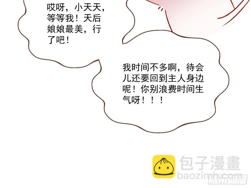 🍟万渣朝凰 声名大振 第13页