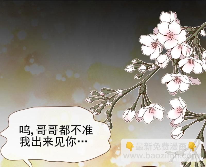 🍟万渣朝凰 你是疯儿我是傻 第17页