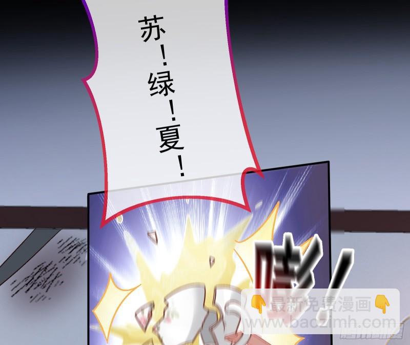 🍟万渣朝凰 驯兽大师 第11页