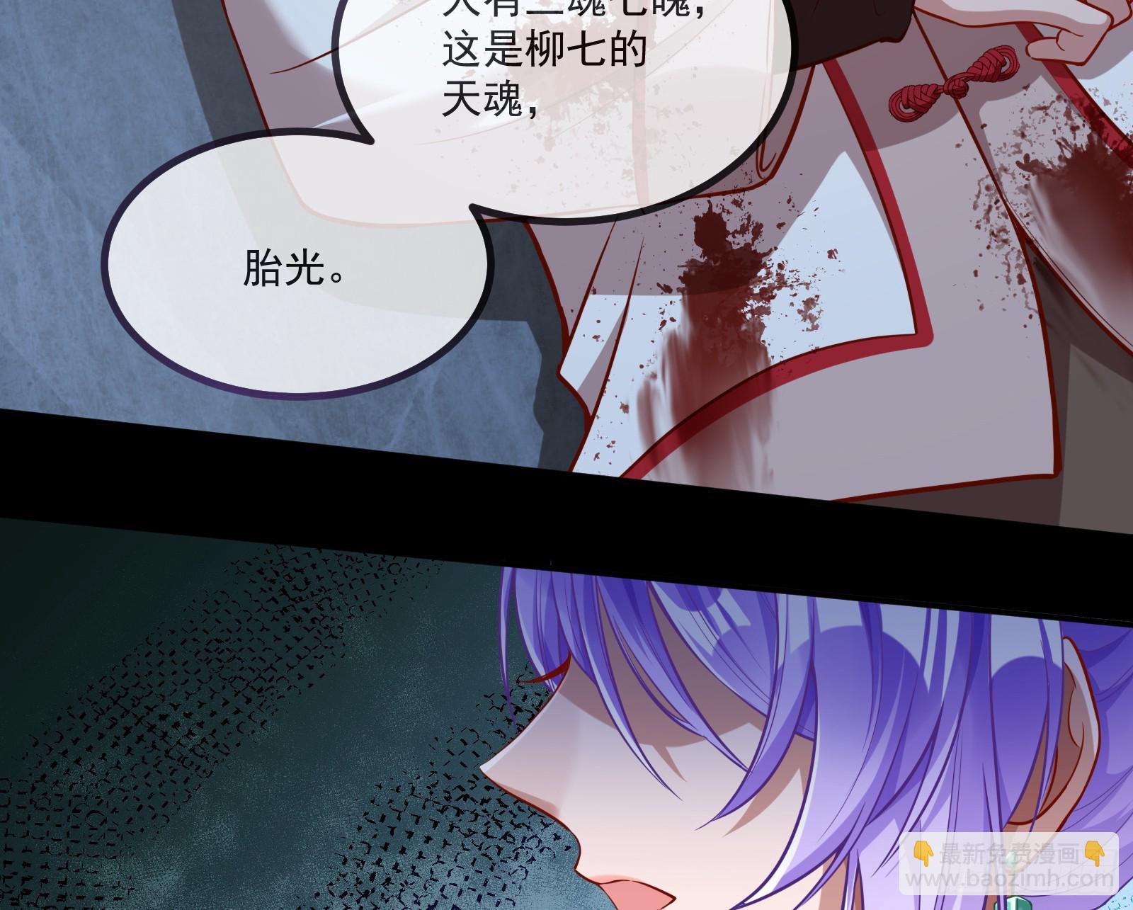 🍟万渣朝凰 再见柳七 第29页