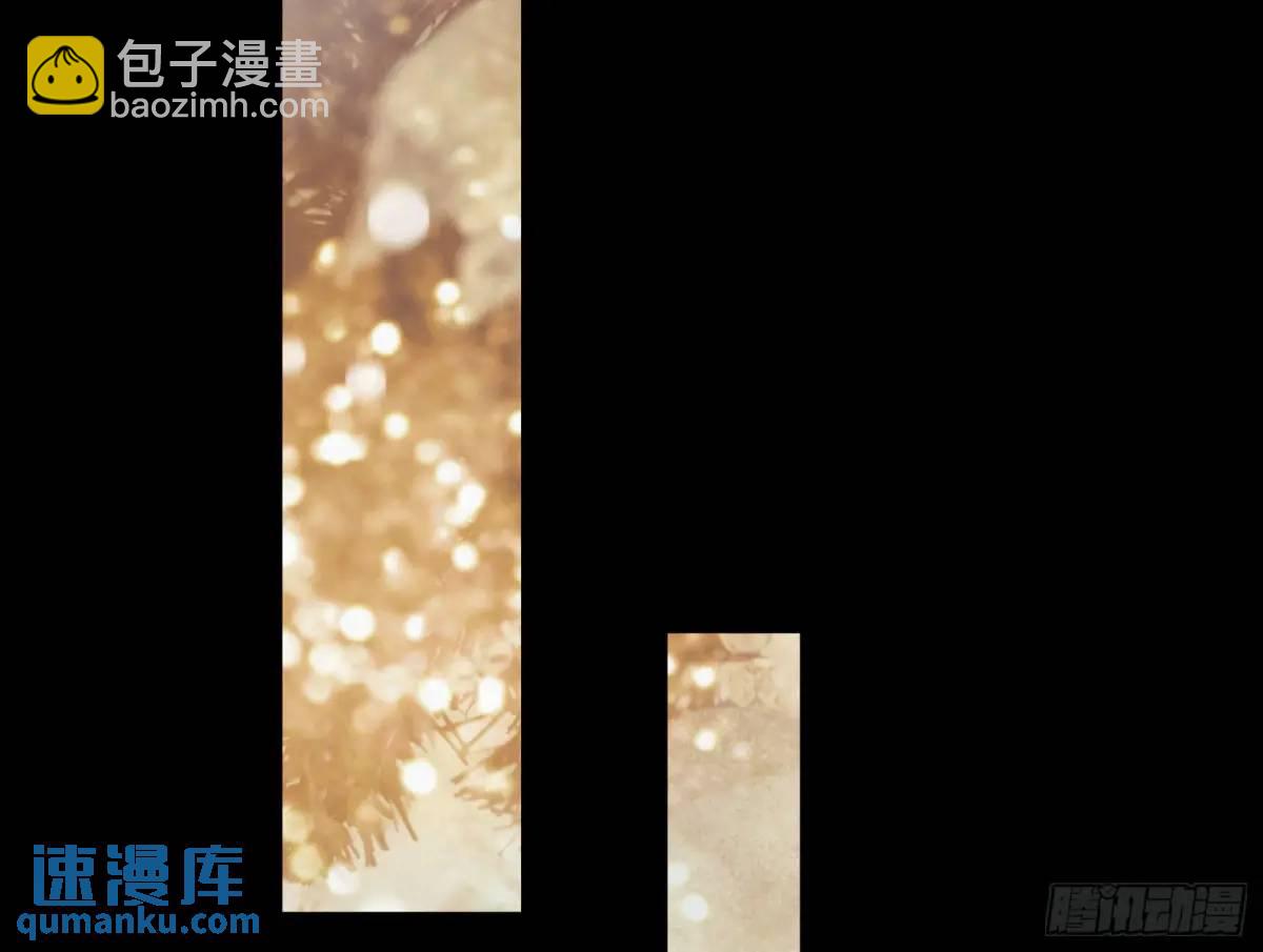 🍟万渣朝凰 价高者得 第37页