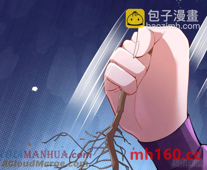 🍟万渣朝凰 分割买卖 第33页