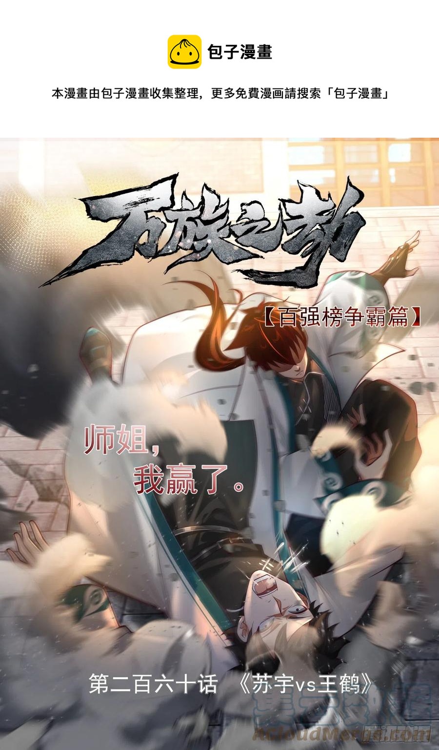 苏宇vs王鹤-第262话