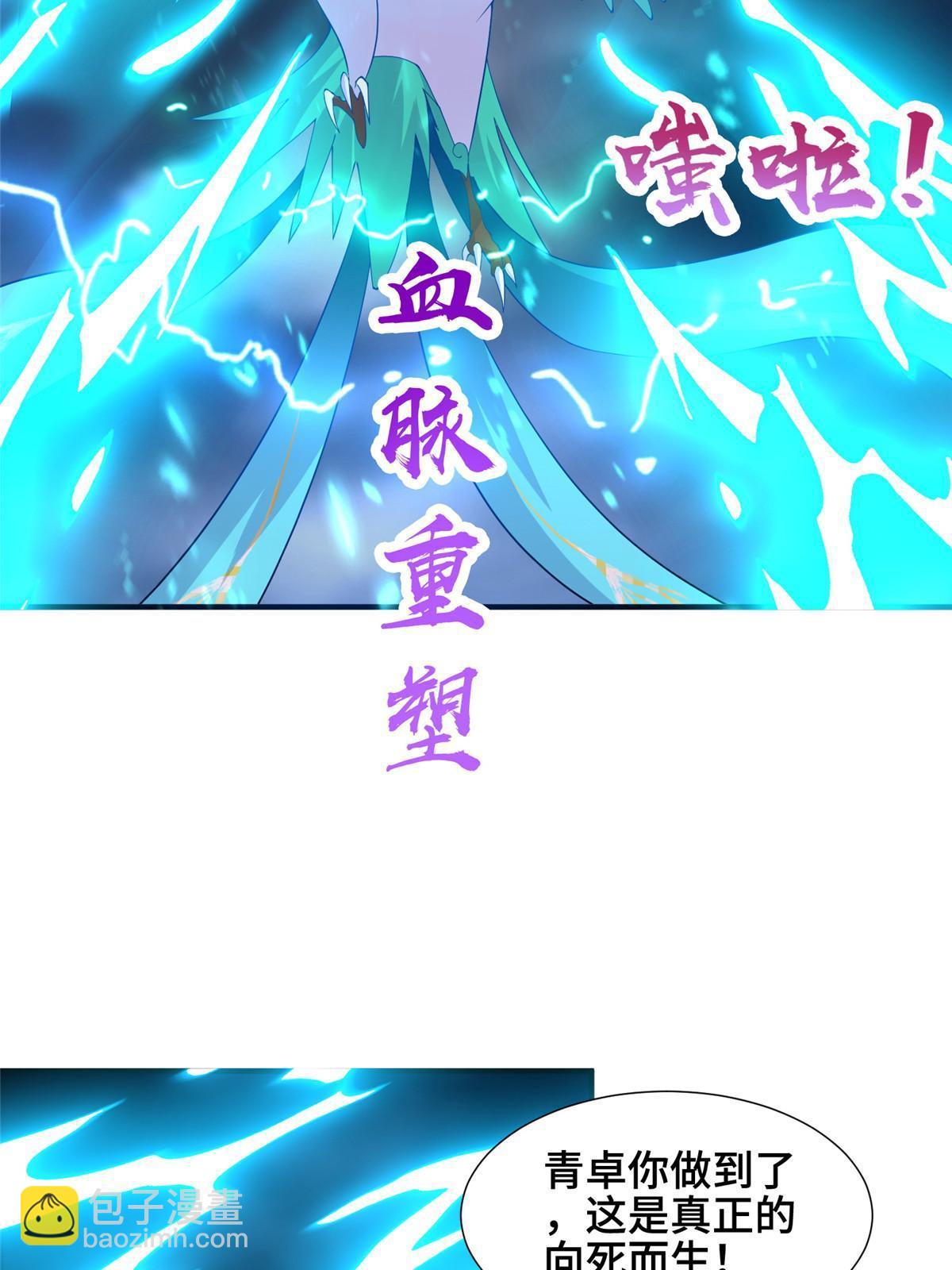 285 逆雷飞升(1/2)-第290话