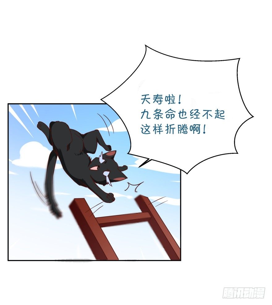 紫紫需要我-第36话