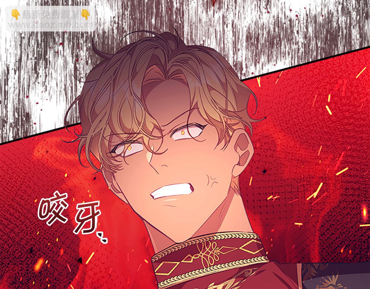 🍗奶萌魔力小公主 第132话 15岁之约 第12页