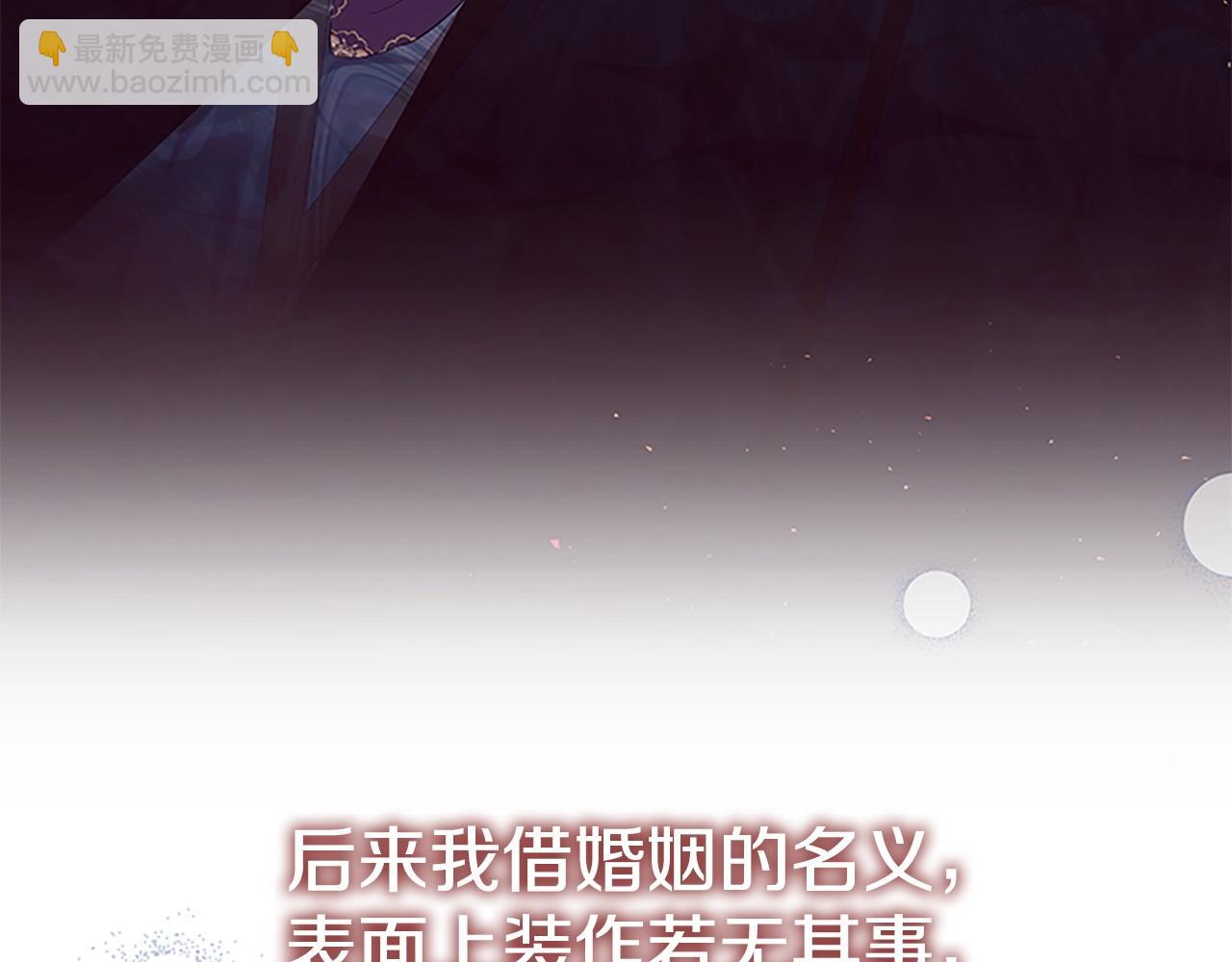 🍗奶萌魔力小公主 番外8 准备出兵 第38页