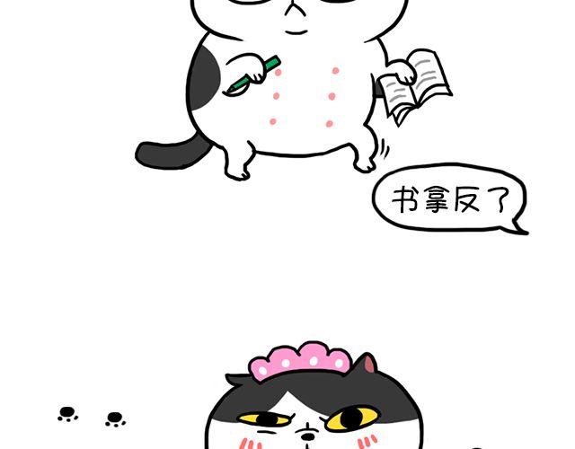 第12话 百变麦丽酥-第12话