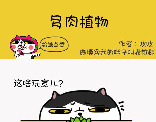 第6话 多肉植物-第6话