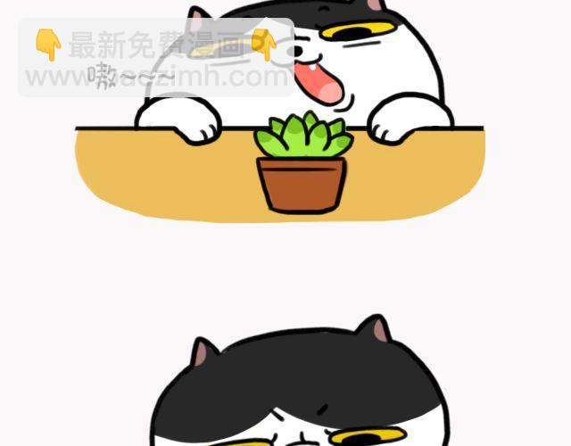 第6话 多肉植物-第6话
