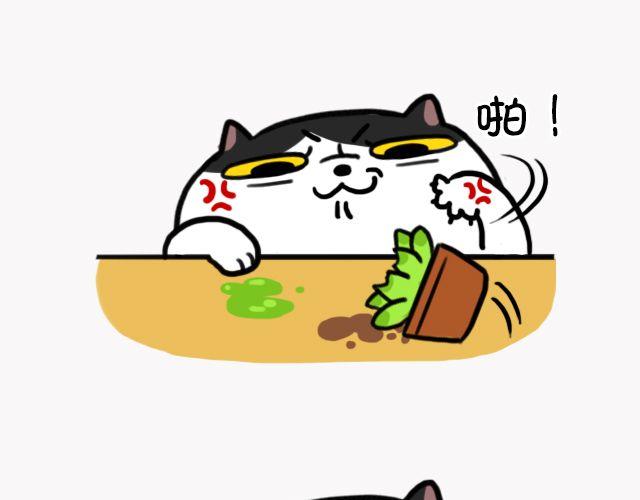 第6话 多肉植物-第6话