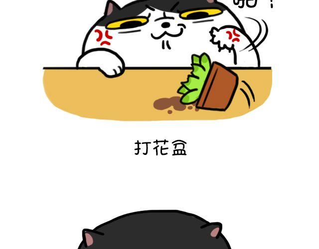 第10话 麦粒酥看家-第10话