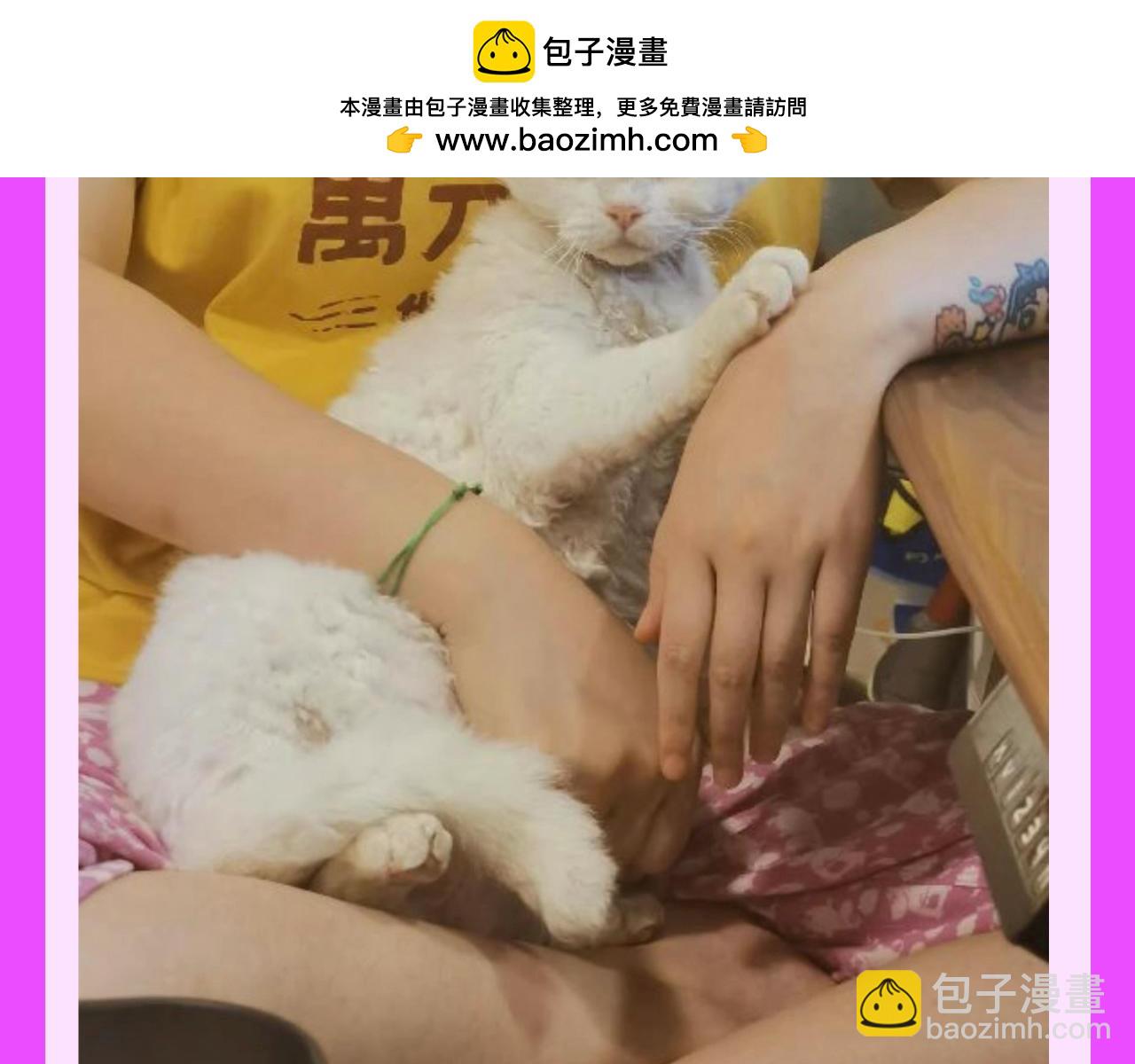 第25期 整活企划：艺......艺术源自生活-第310话