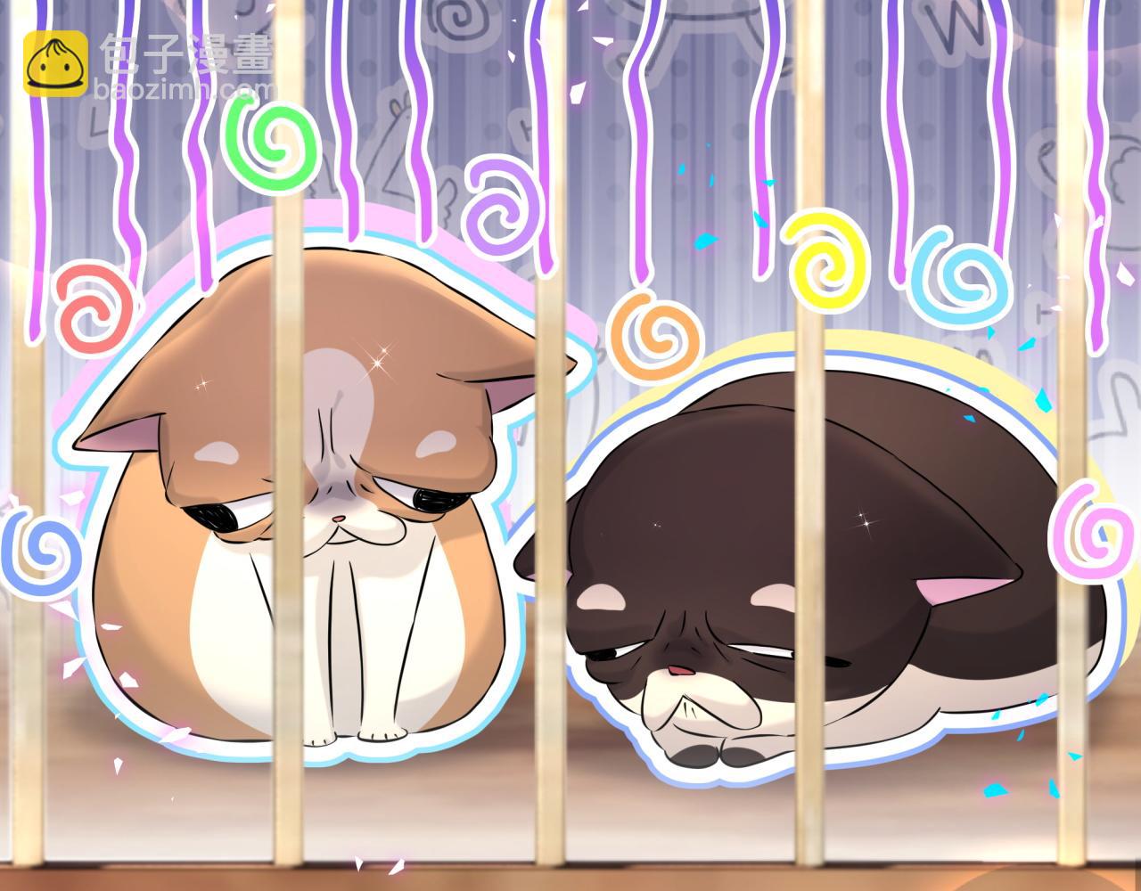 第313话 你没谈过恋爱！？(1/3)-第370话