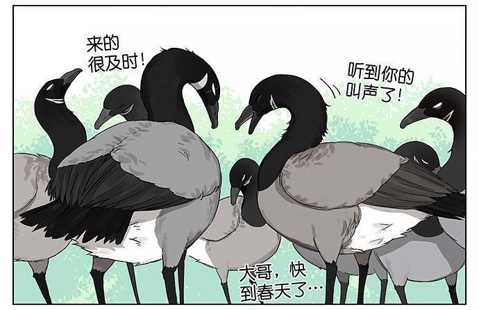回北方。-第20话
