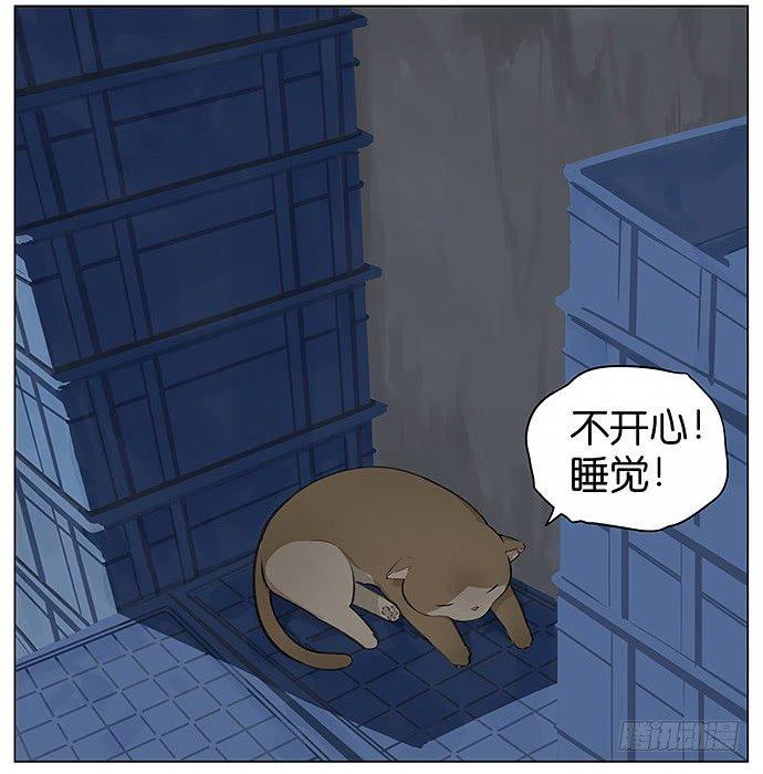 可爱的猫咪。-第22话