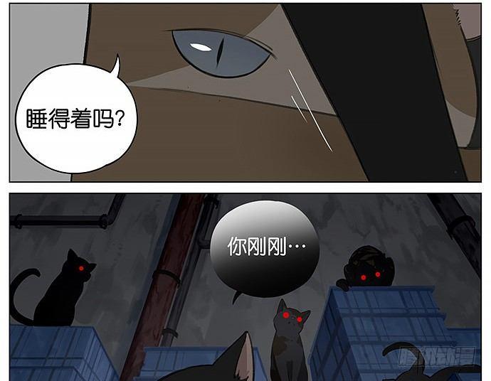 可爱的猫咪。-第22话