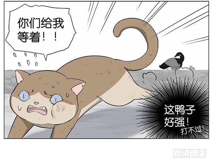 可爱的猫咪。-第22话