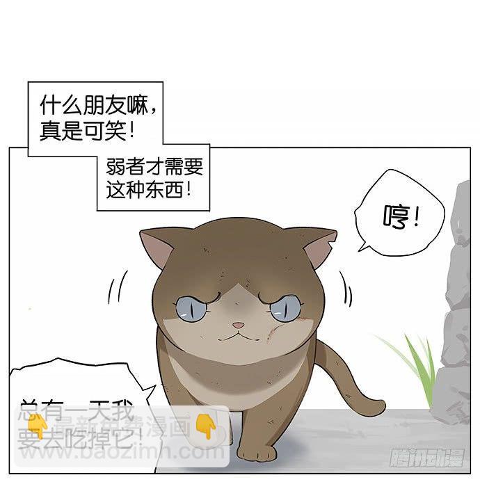 可爱的猫咪。-第22话
