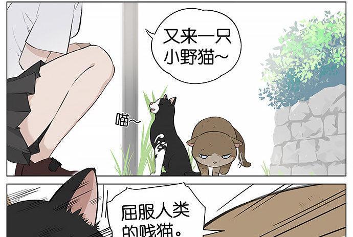 可爱的猫咪。-第22话