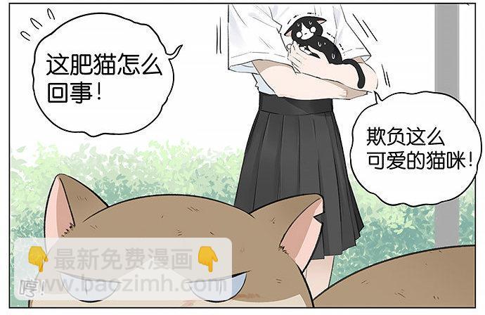 可爱的猫咪。-第22话