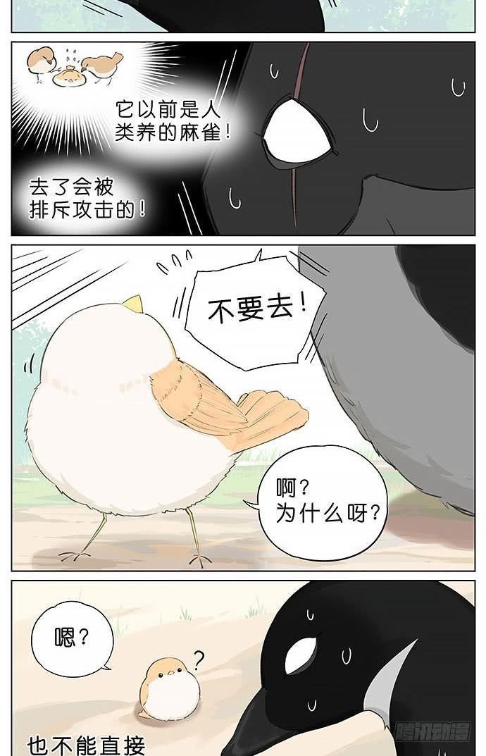 冬天相互取暖的鸟。-第24话