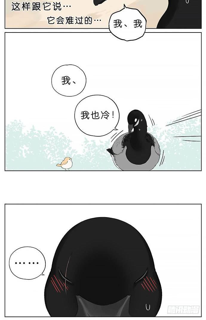 冬天相互取暖的鸟。-第24话