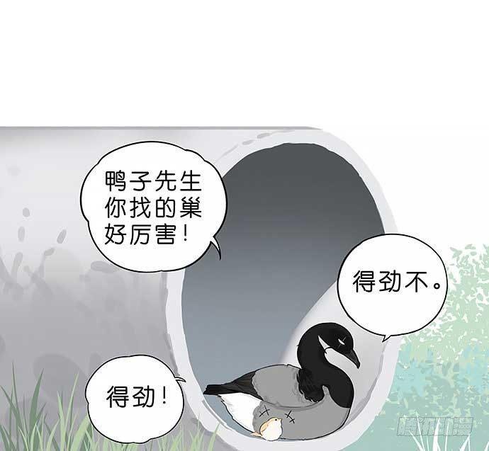 麻雀的鸟巢。-第26话