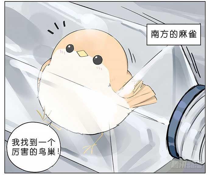 麻雀的鸟巢。-第26话
