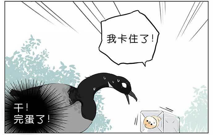 麻雀的鸟巢。-第26话