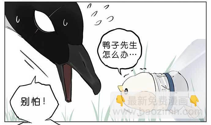 麻雀的鸟巢。-第26话