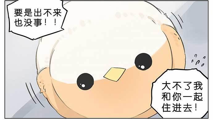 麻雀的鸟巢。-第26话