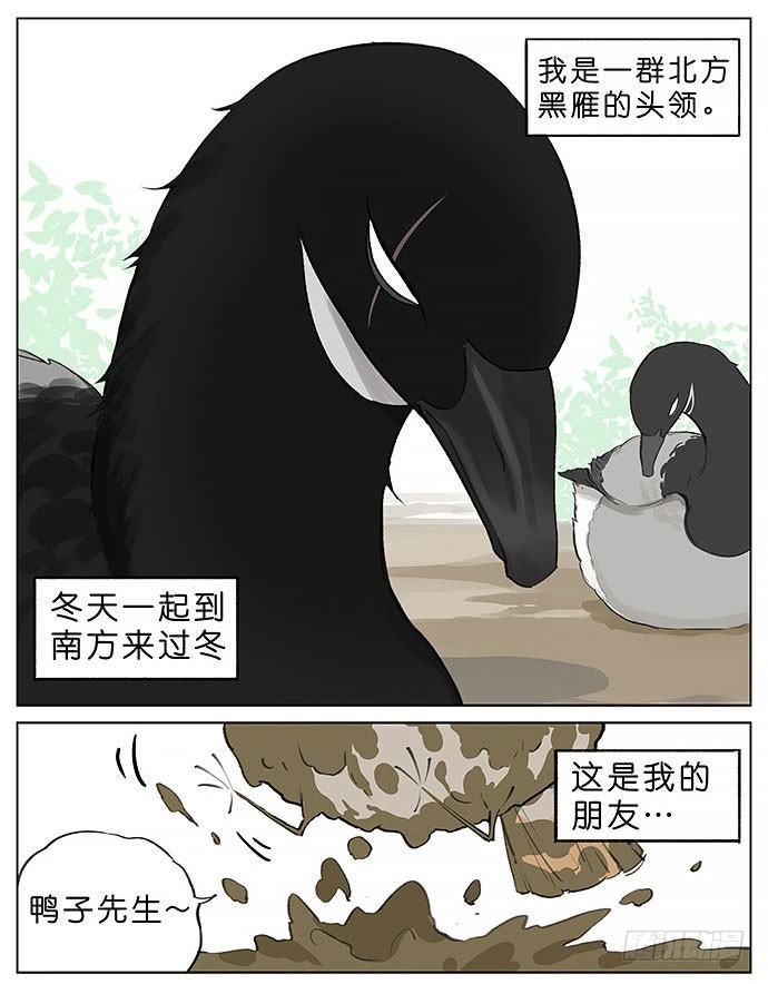 玩泥巴的鸟。-第28话