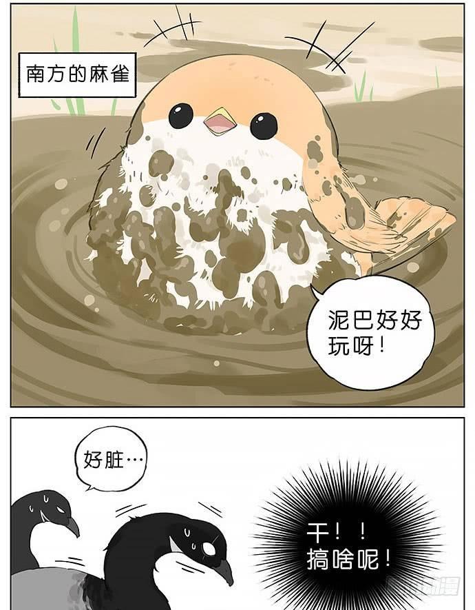 玩泥巴的鸟。-第28话