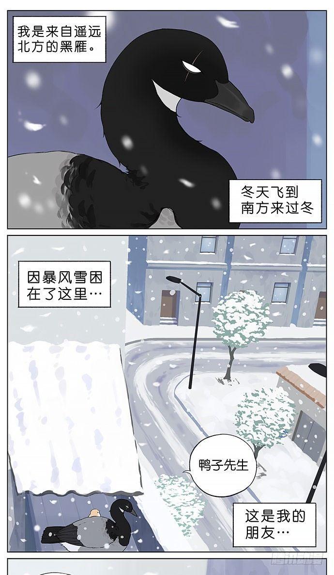 暴风雪。-第30话