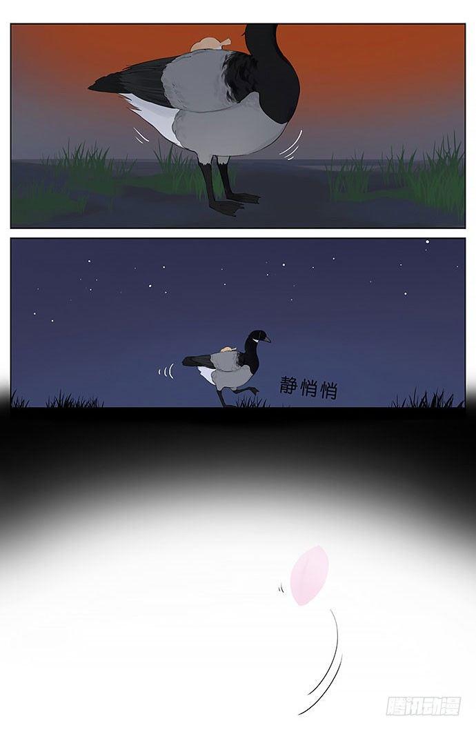 春天的鸟。-第32话