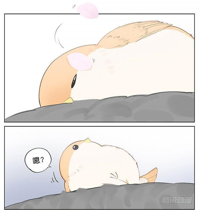 春天的鸟。-第32话