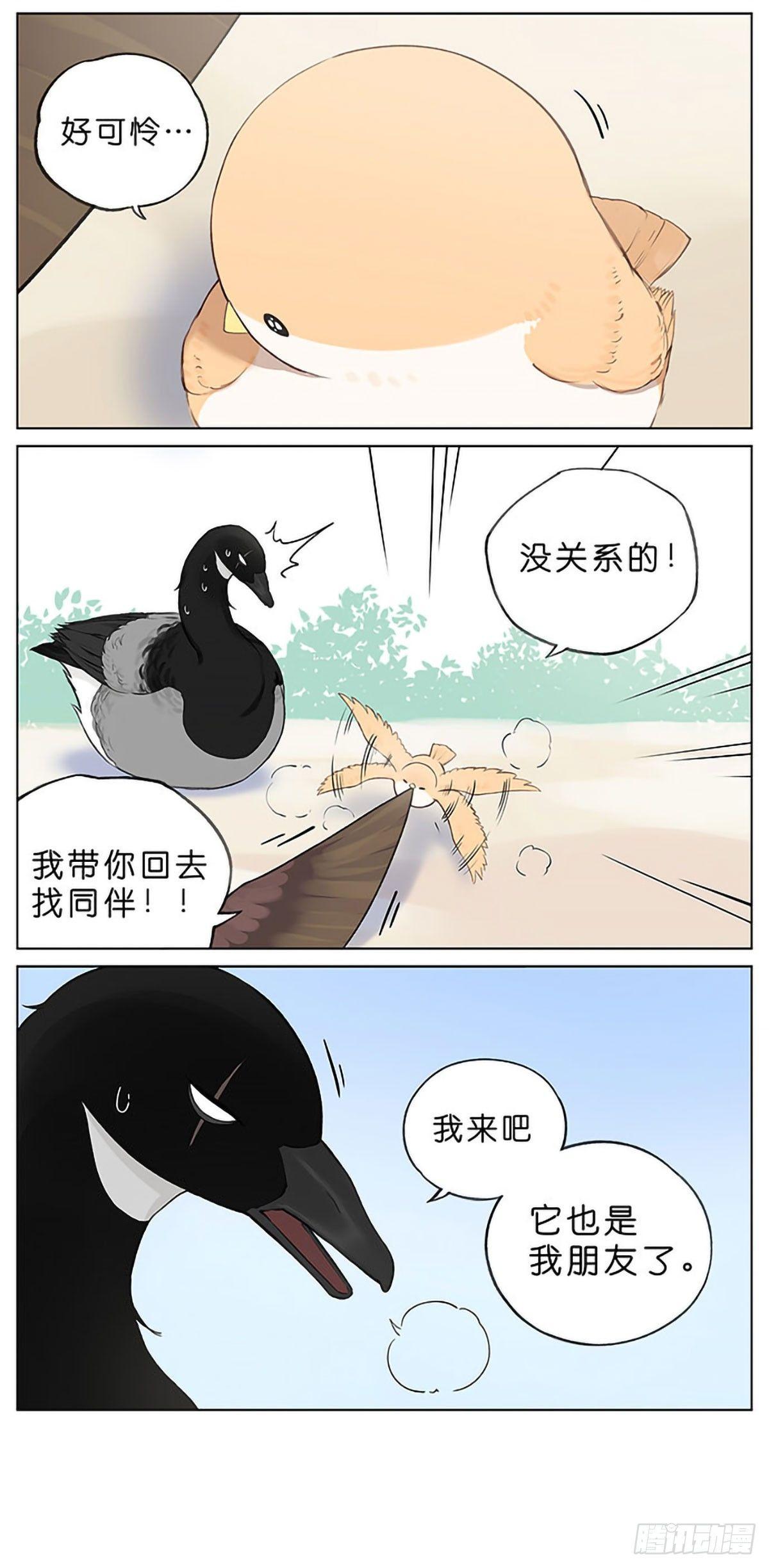 春天的风筝。-第34话
